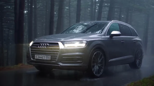Тёмный Audi среди высоких хвойных деревьев — ИЗДИДЖИТЛ